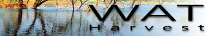 Water 2