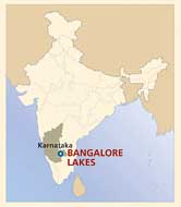 bangalore