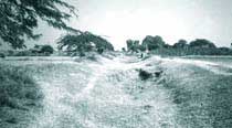 The dry canal at Nurpura as they stand today