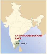 chembarambakkam lake