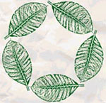 five_leaf.jpg 