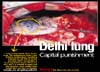 Delhi Lung