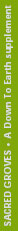 line.jpg (2953 bytes)