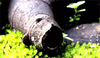 slide.jpg (10073 bytes)