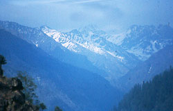 img5.jpg (9196 bytes)