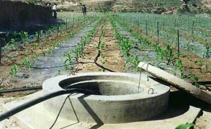 rain harvesting system in india