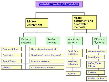 Make A Chart On Rainwater Harvesting