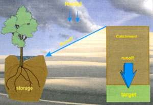 micro catchments