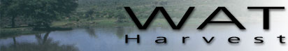 Water 2