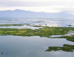 Loktak Lake