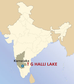 tg halli lake